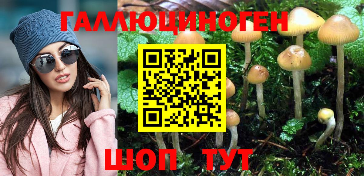 Псилоцибиновые грибы мицелий  Вход с VPN  Моздок 