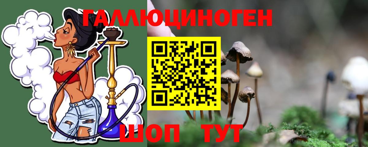 Псилоцибиновые грибы Psilocybe Моздок